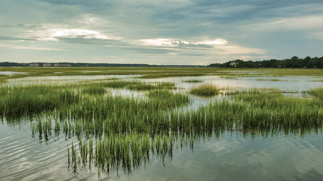 EPA, Army Corps of Engineers return to pre-2015 interpretation of WOTUS