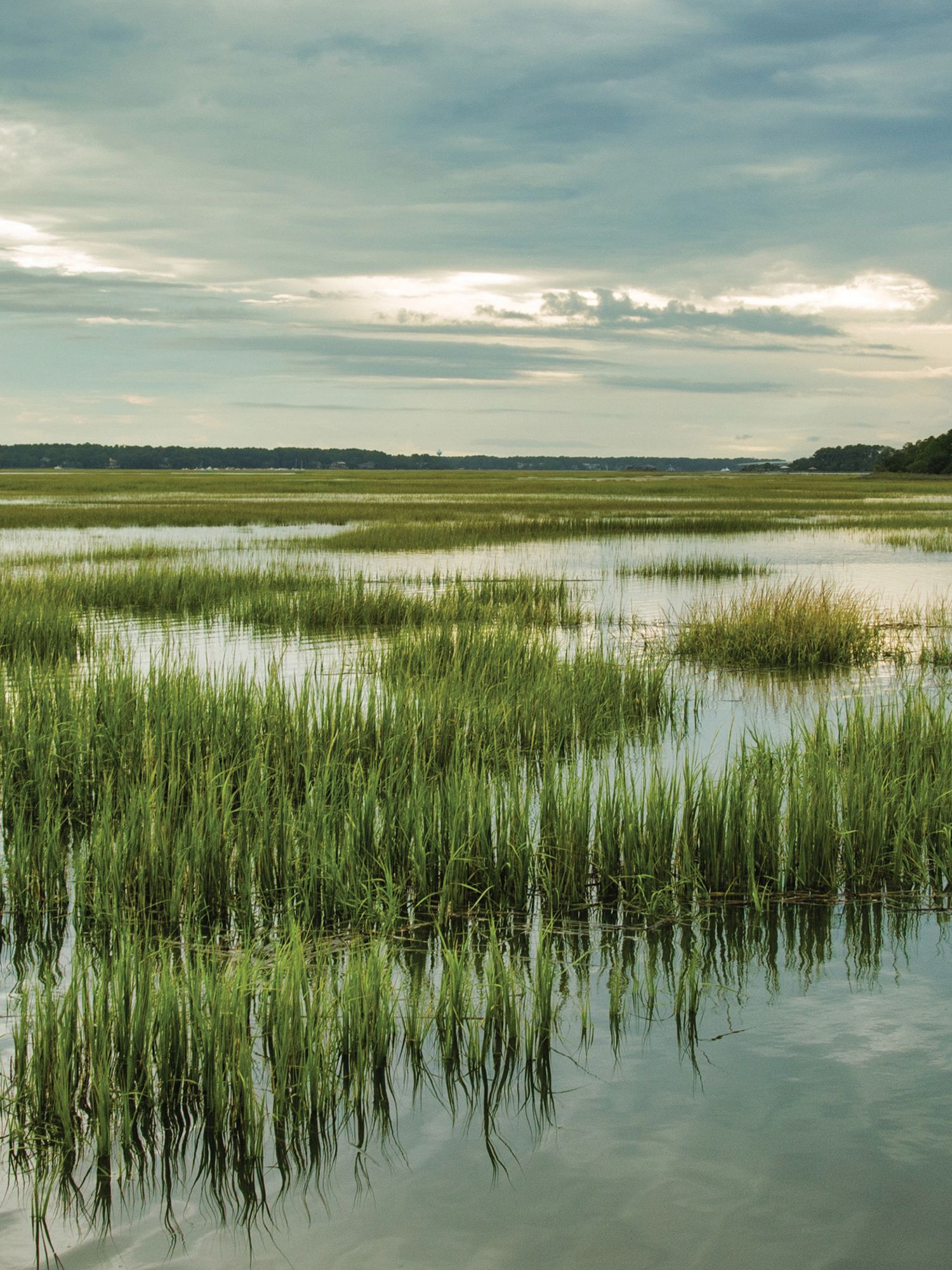 The Supreme Court's latest ruling changes the way wetlands are