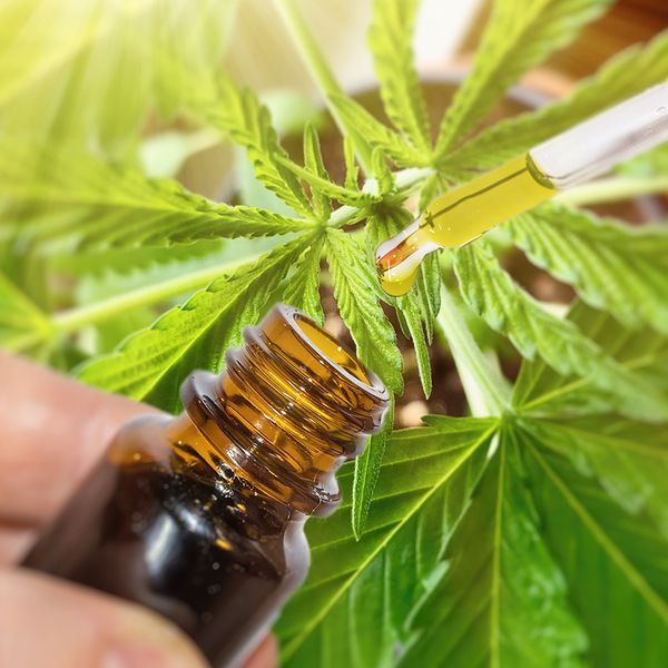 Motor carrier employees taking the high road: Marijuana in the workplace