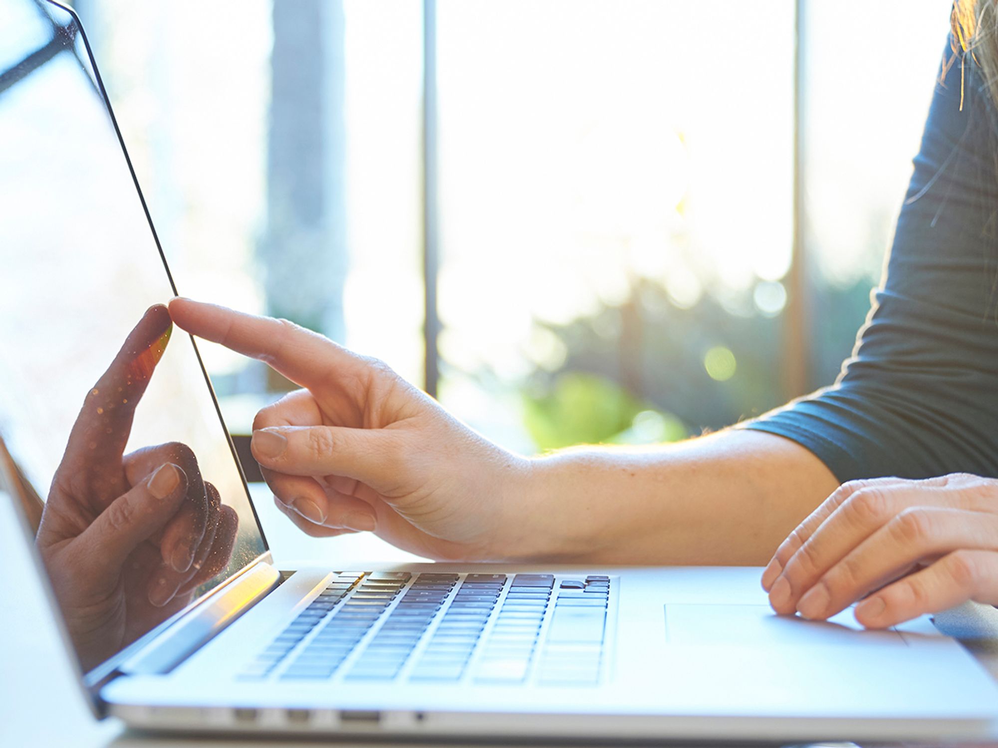 Can motor carriers develop their own software?