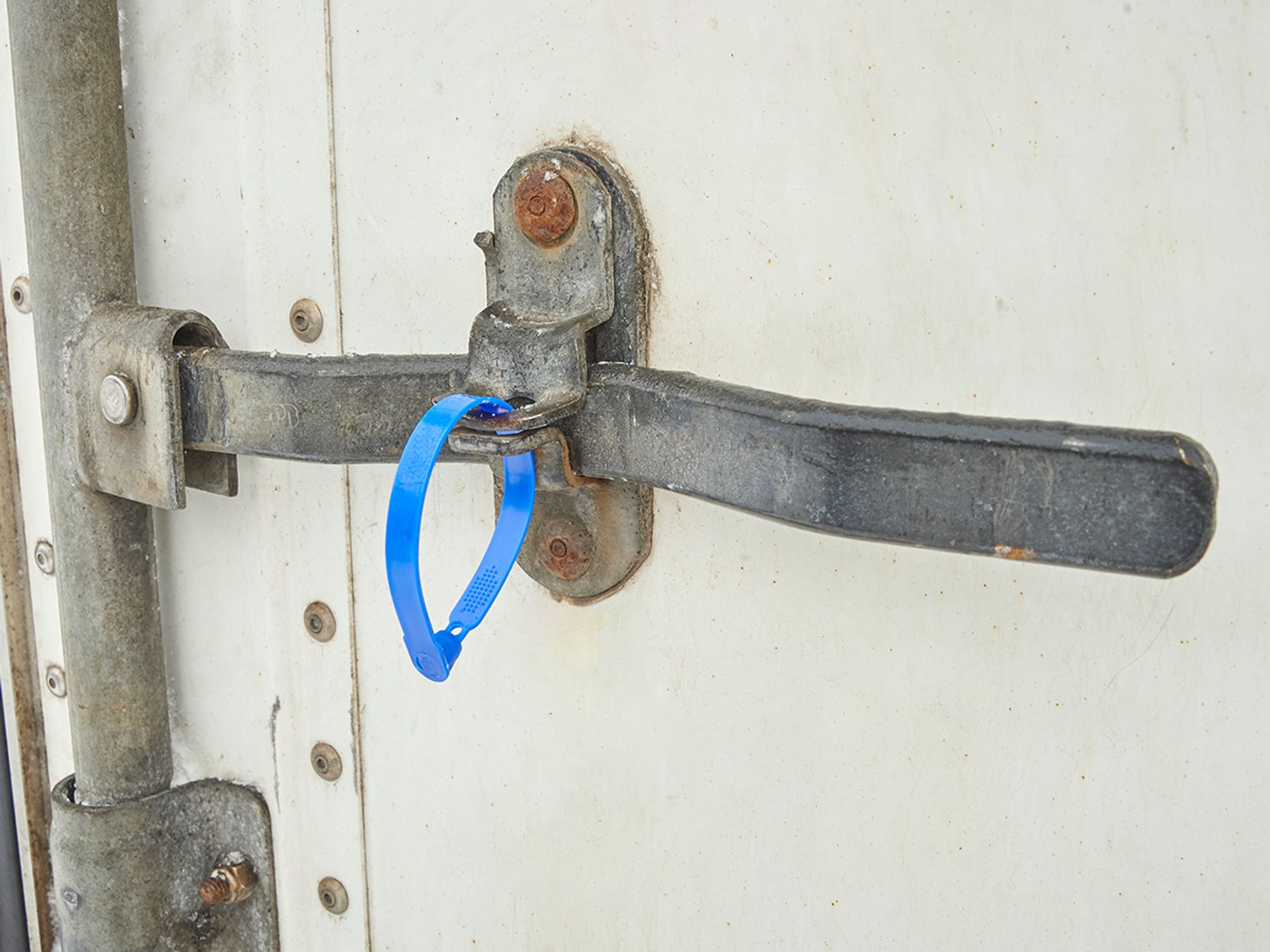 Cargo security devices