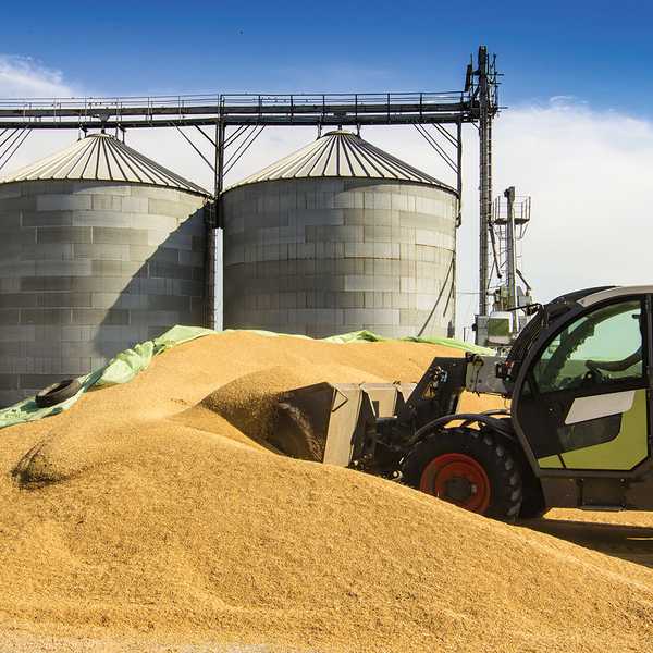 Stand Up 4 Grain Safety Week set for April 4-8