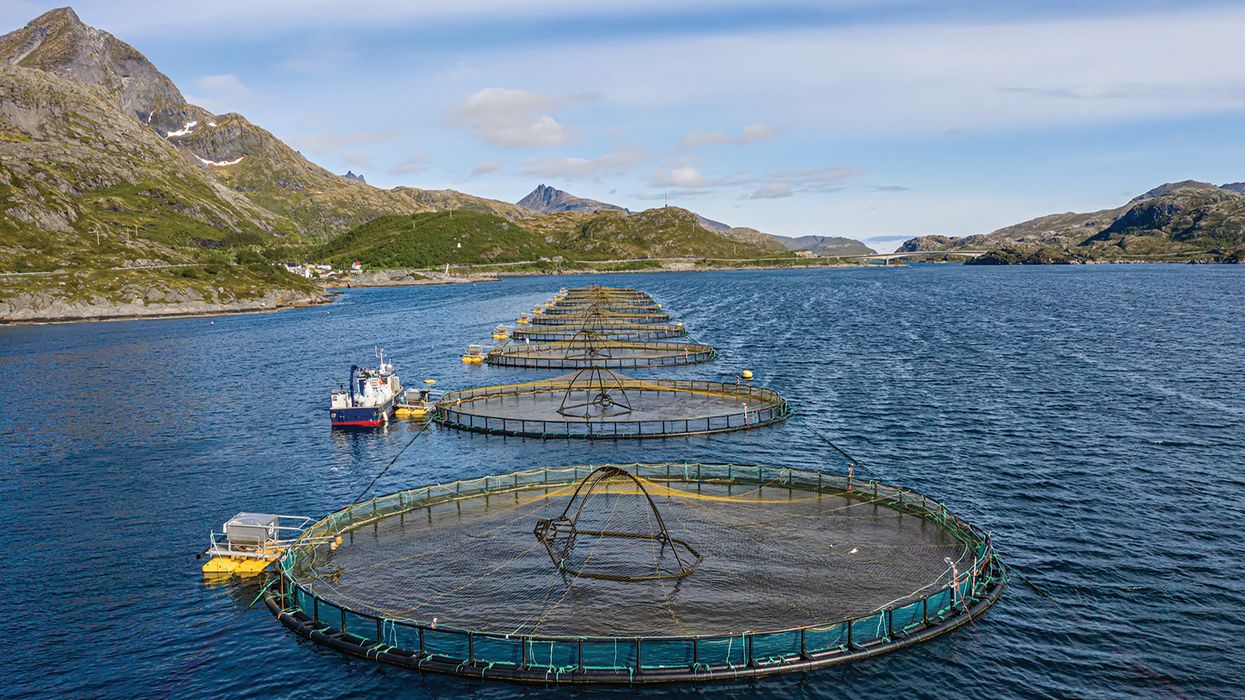 Endangered and threatened wildlife and plant changes