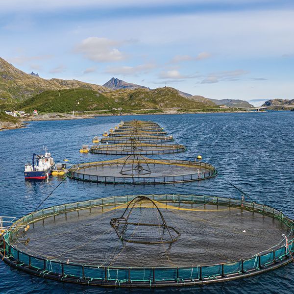 Endangered and threatened wildlife and plant changes