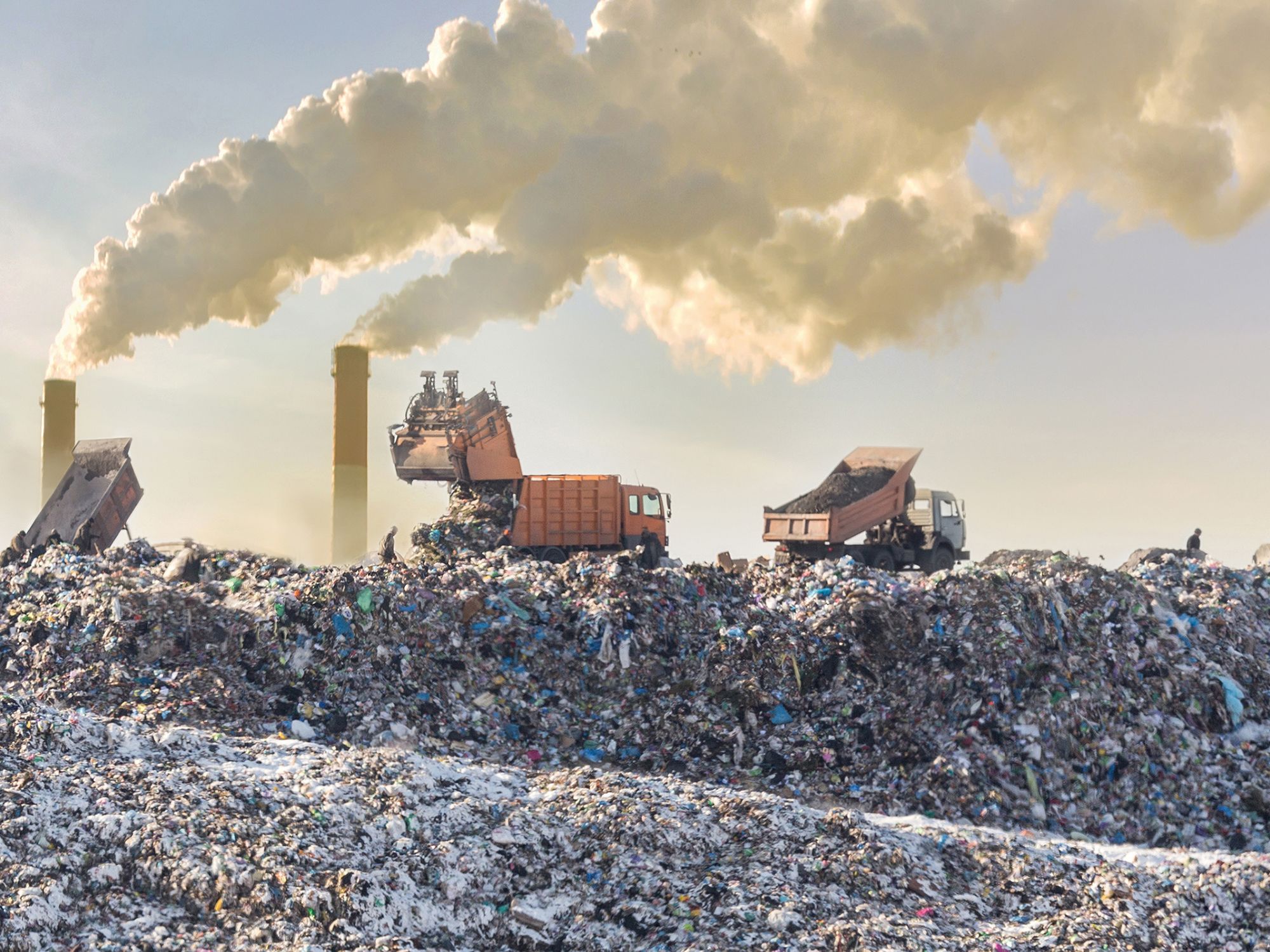 Land Disposal Restrictions (LDRs)