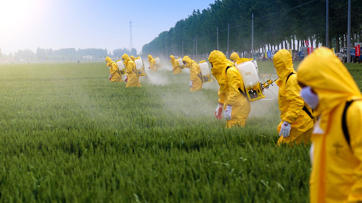 Employee Handout — Pesticide Safety Overview
