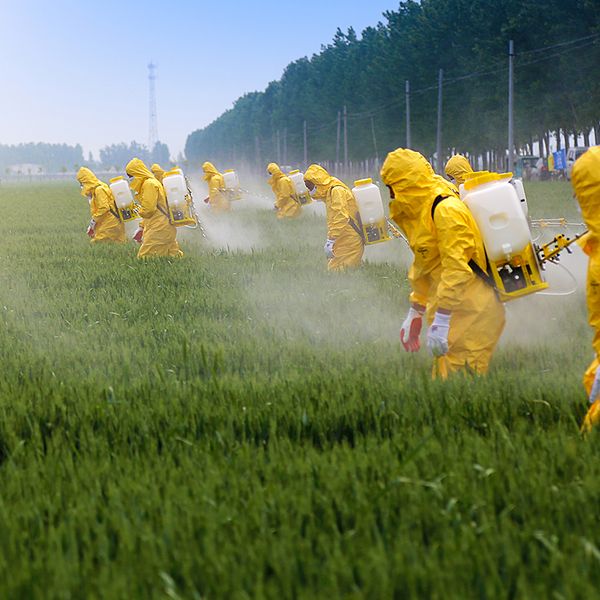 Employee Handout — Pesticide Safety Overview