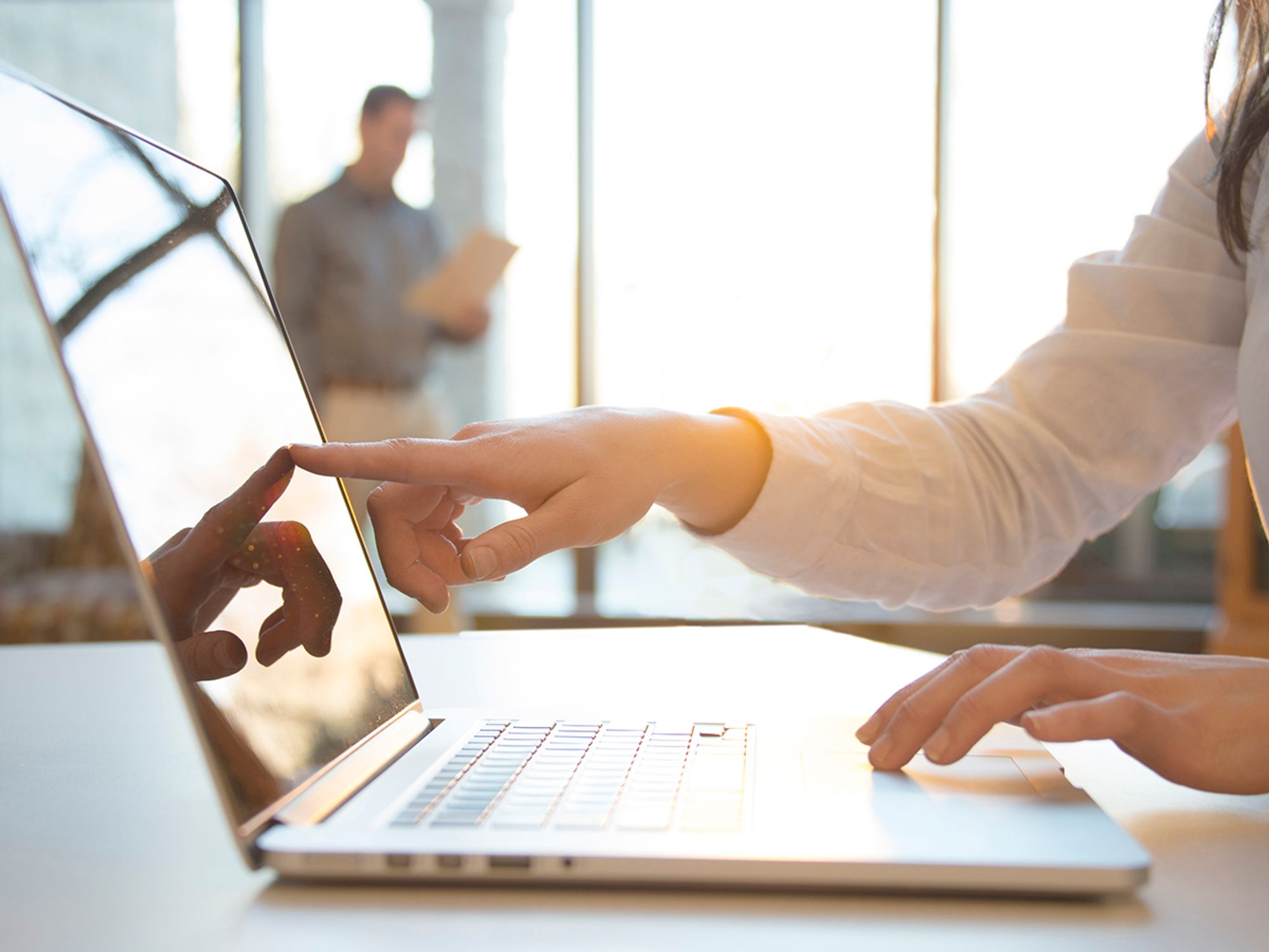 Create a risk management plan