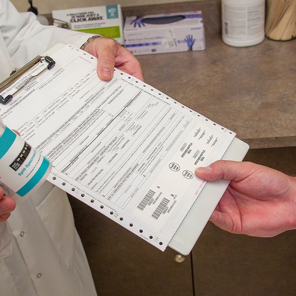 States will deny or downgrade CDLs and CLPs based on Drug and Alcohol Clearinghouse violations