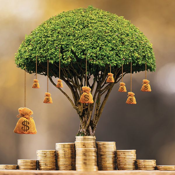 Business and state environmental management partnership success story