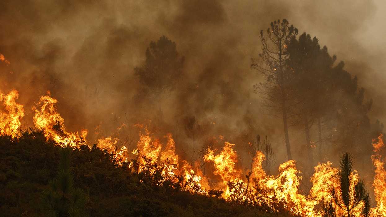 FMCSA grants several states Emergency Declaration under 49 CFR 390.25