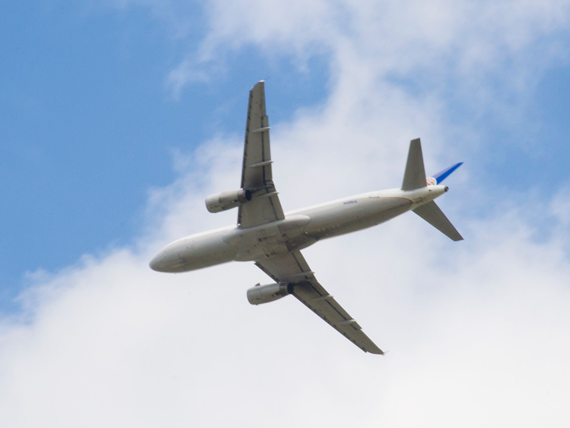 Airline flight crew employees