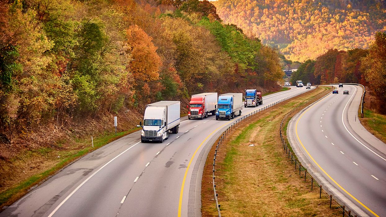 Don’t get bitten by the spotted lantern fly
