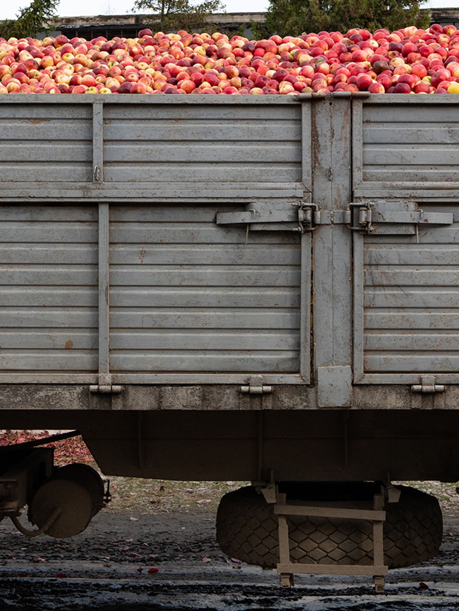 What are exempt for-hire carriers exempt from? | J. J. Keller