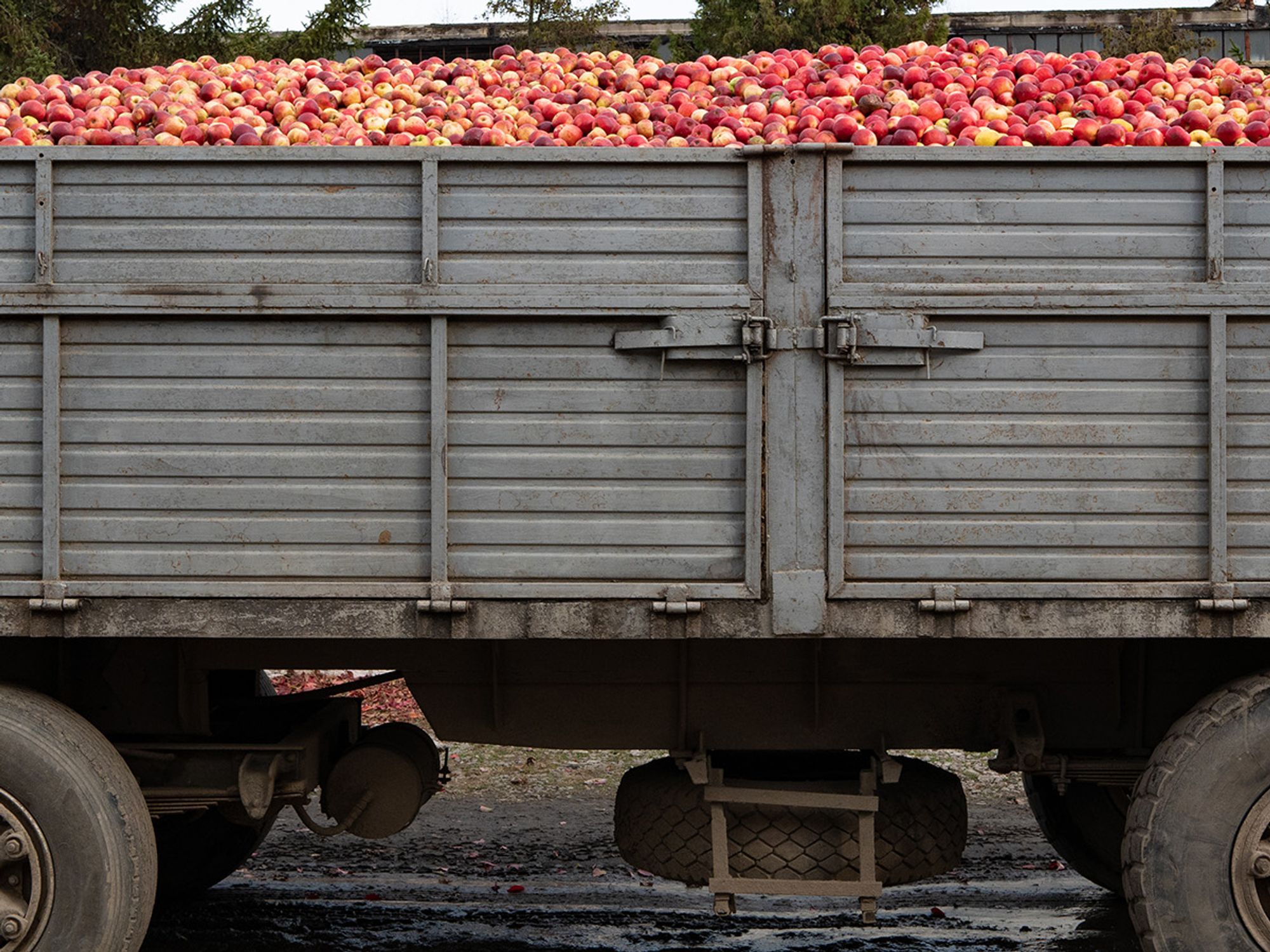 Food security