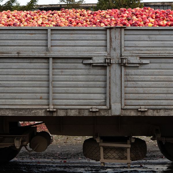 What are exempt for-hire carriers exempt from?