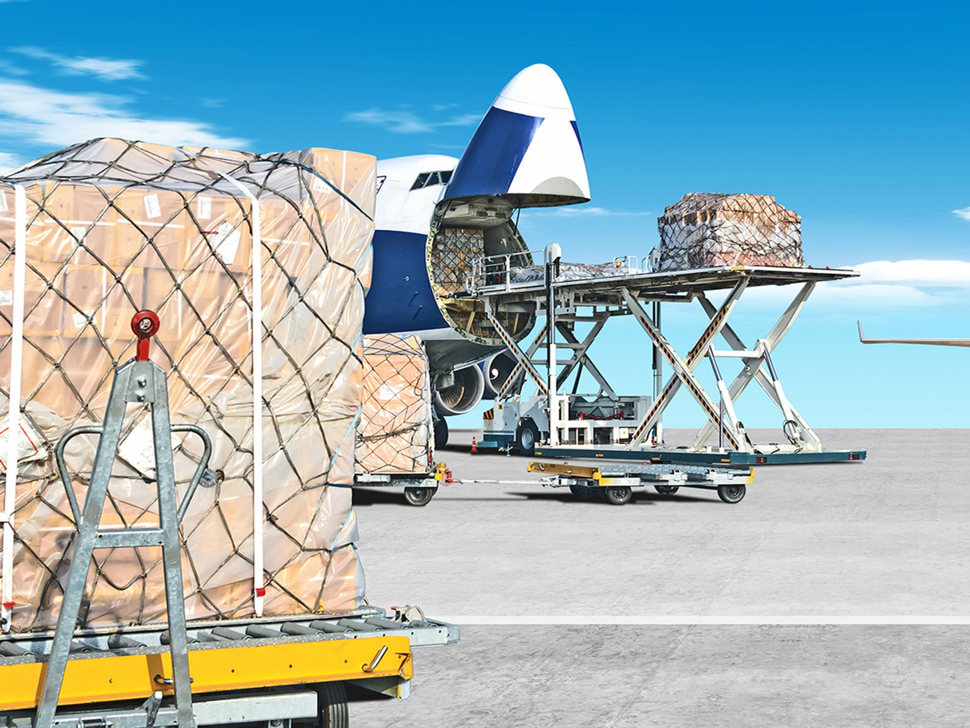 IATA Shipper’s Declaration specifications