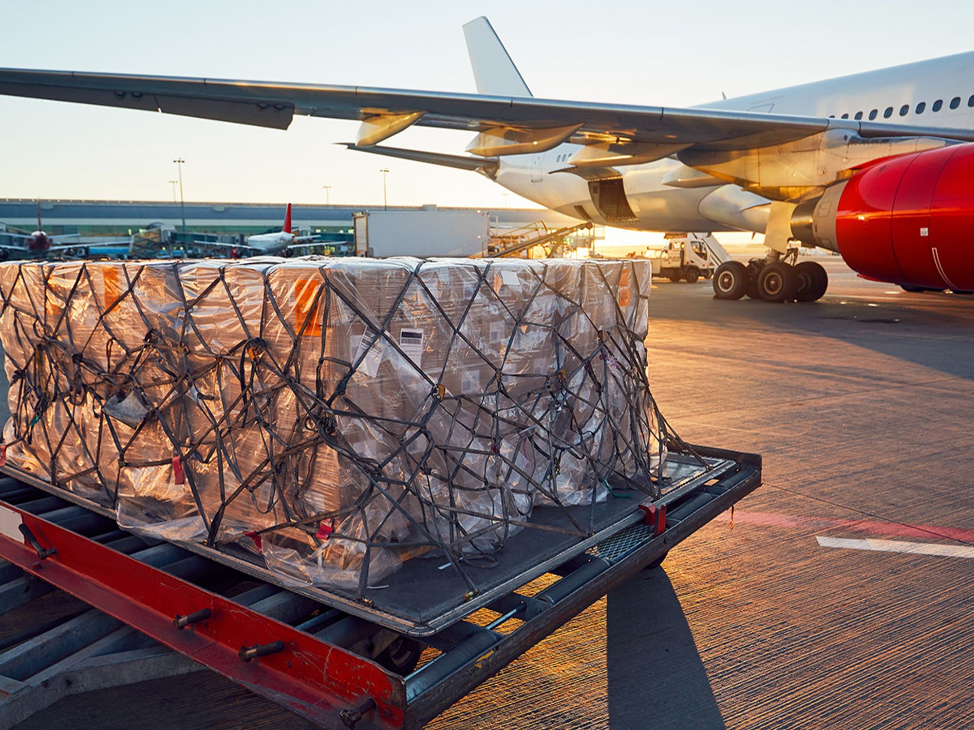 IATA packaging quality requirements