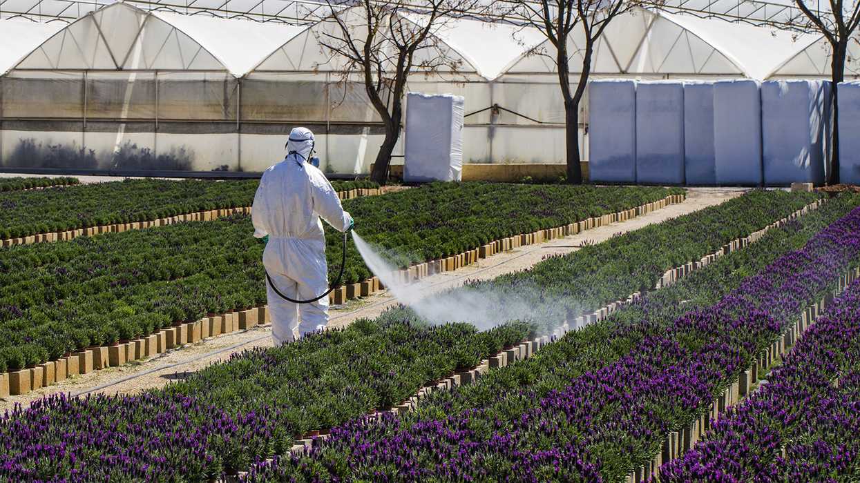 Pesticide (FIFRA) regulations state comparison