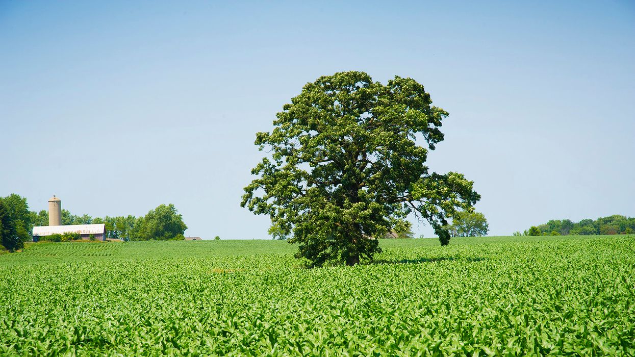Ethanol – A corny way to reduce emissions