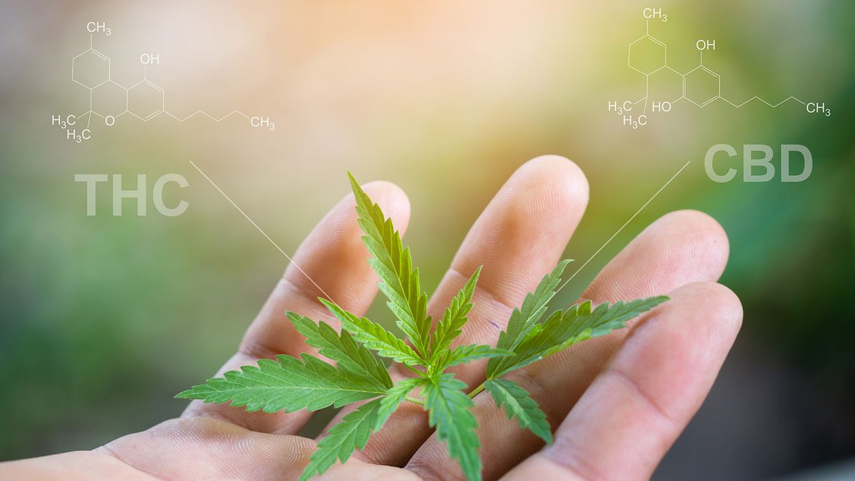 Higher and higher – Marijuana used by more than 1 in 5, national survey finds