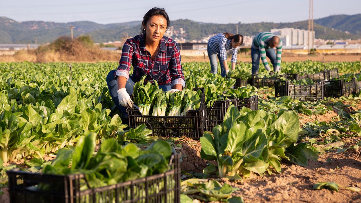 DOT grants new life to ag securement exemption