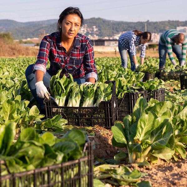 DOT grants new life to ag securement exemption