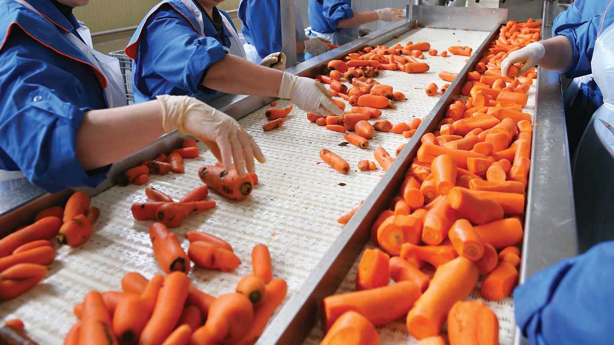 Food processes: HACCP carves a place for safety in each step