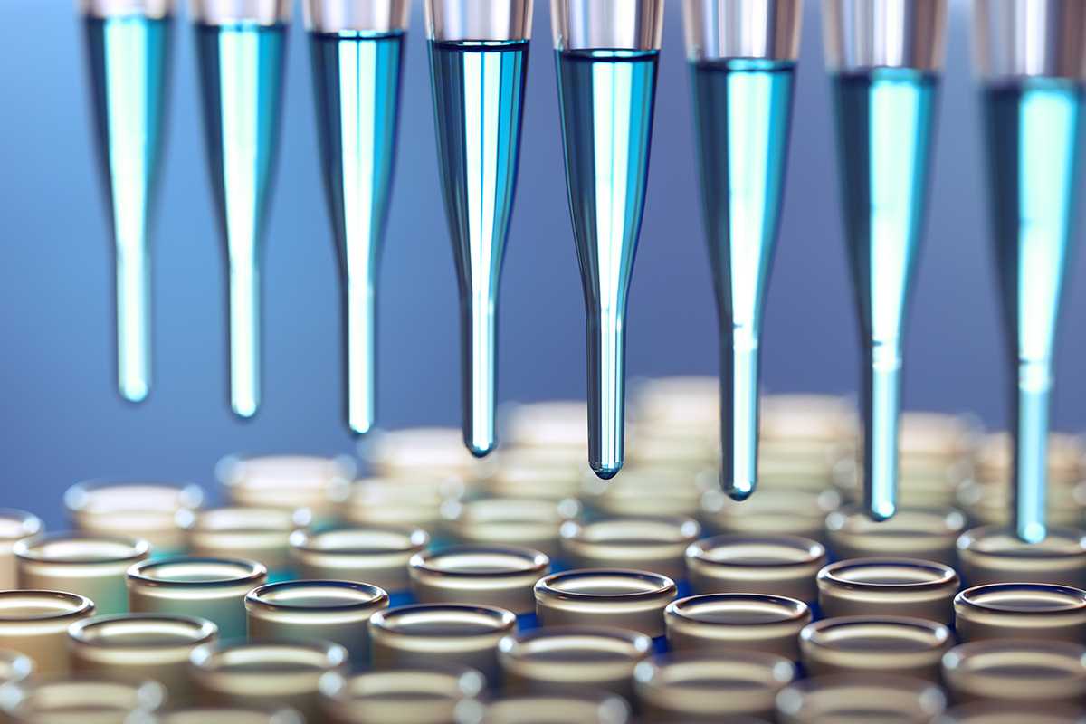 Pandemic memories among the hantavirus outbreak