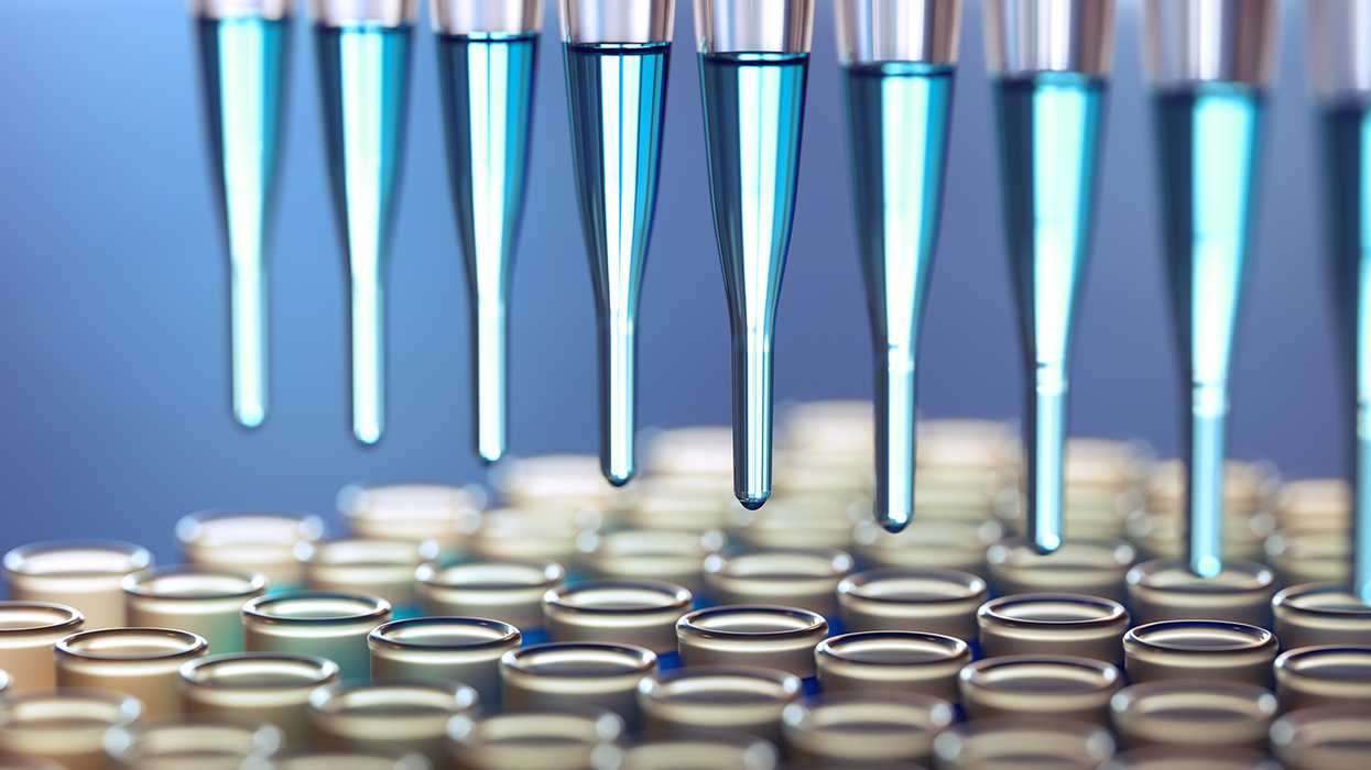 Pandemic memories among the hantavirus outbreak