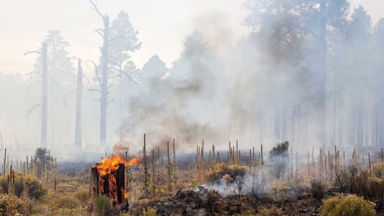 Wildfire air pollution is rising: What federal findings mean for industry compliance