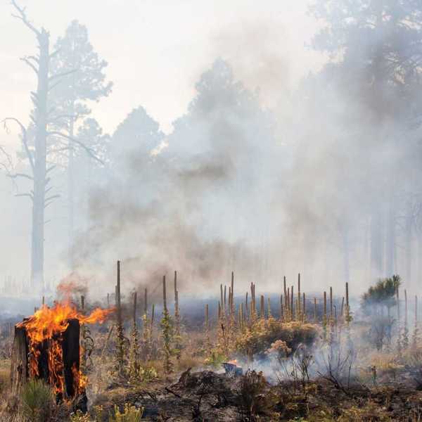 Wildfire air pollution is rising: What federal findings mean for industry compliance