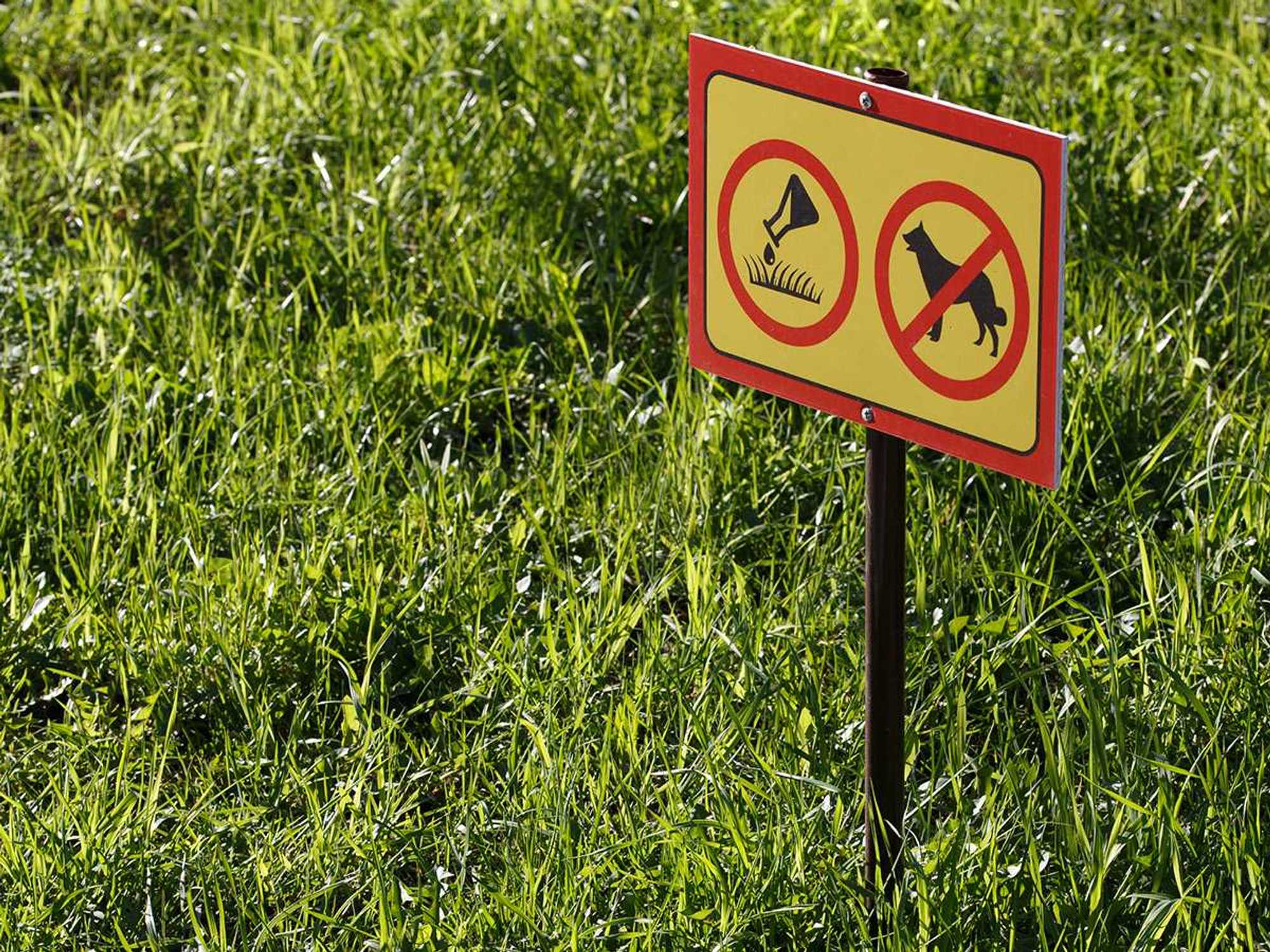 Incidents involving pets and domestic animals