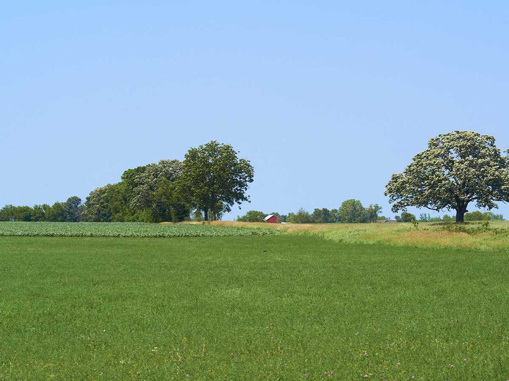 Reduced environmental impacts