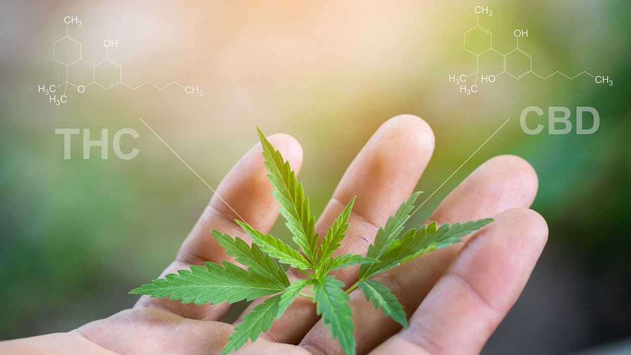 Higher and higher – Marijuana used by more than 1 in 5, national survey finds