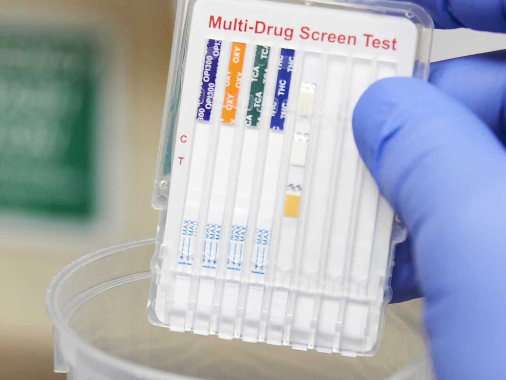 Drug and alcohol testing overview