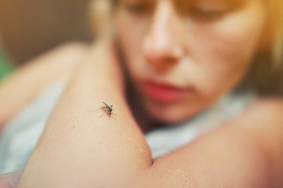 When summer shows up, so do the bugs