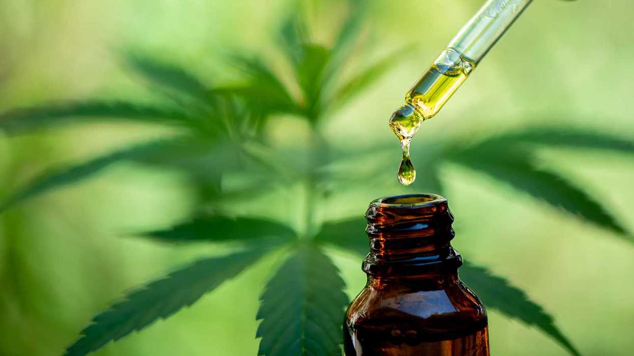 Fast firing for marijuana use can cause trouble for employers