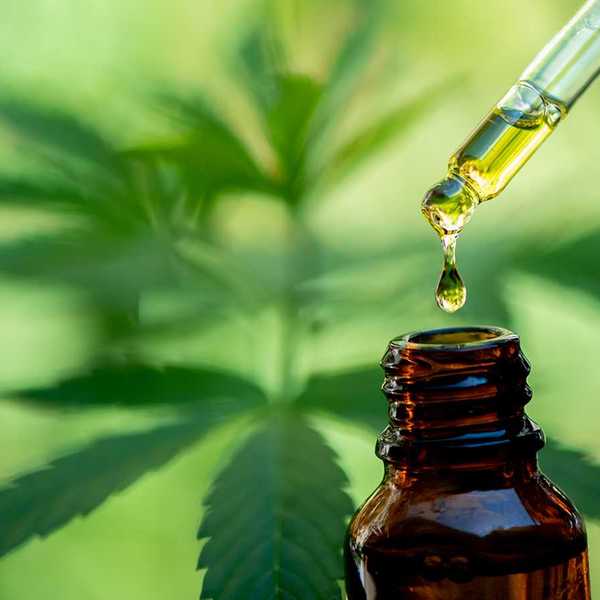 Fast firing for marijuana use can cause trouble for employers