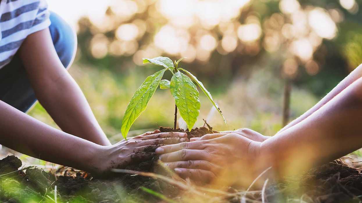 Tips from Oprah on how to learn and grow in HR