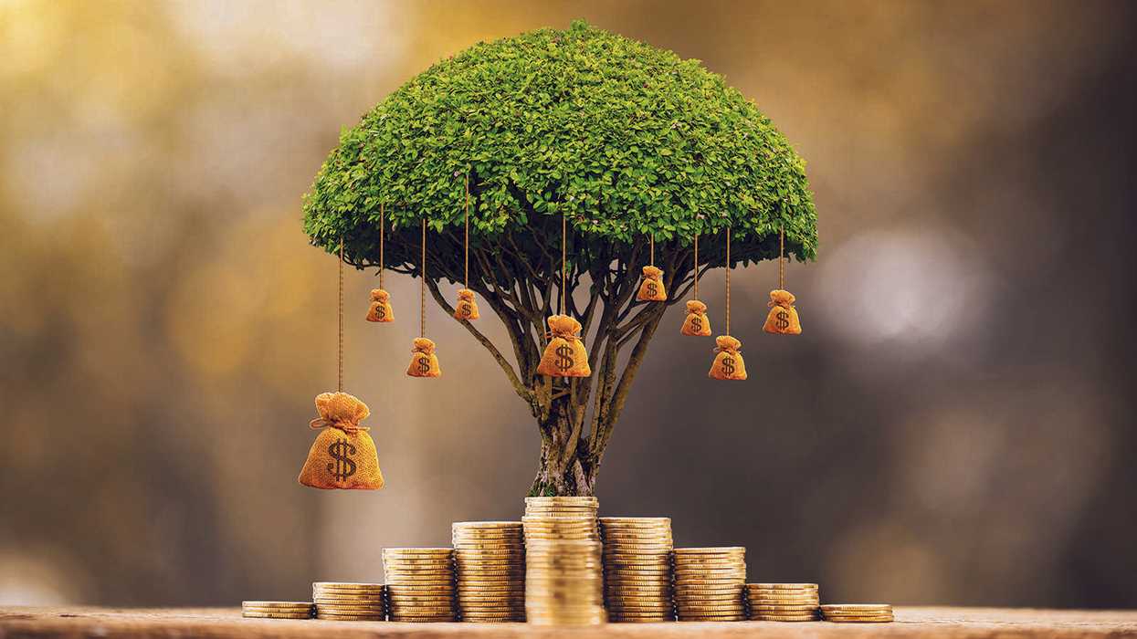 Environmental compliance during capital projects: What gets missed most often