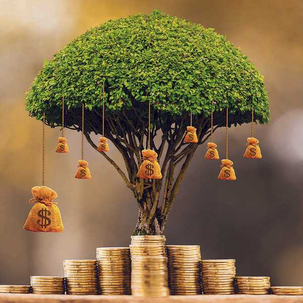 Environmental compliance during capital projects: What gets missed most often