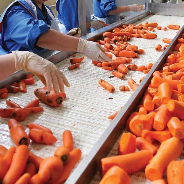 FSMA 204 food traceability: Upcoming FDA requirements explained