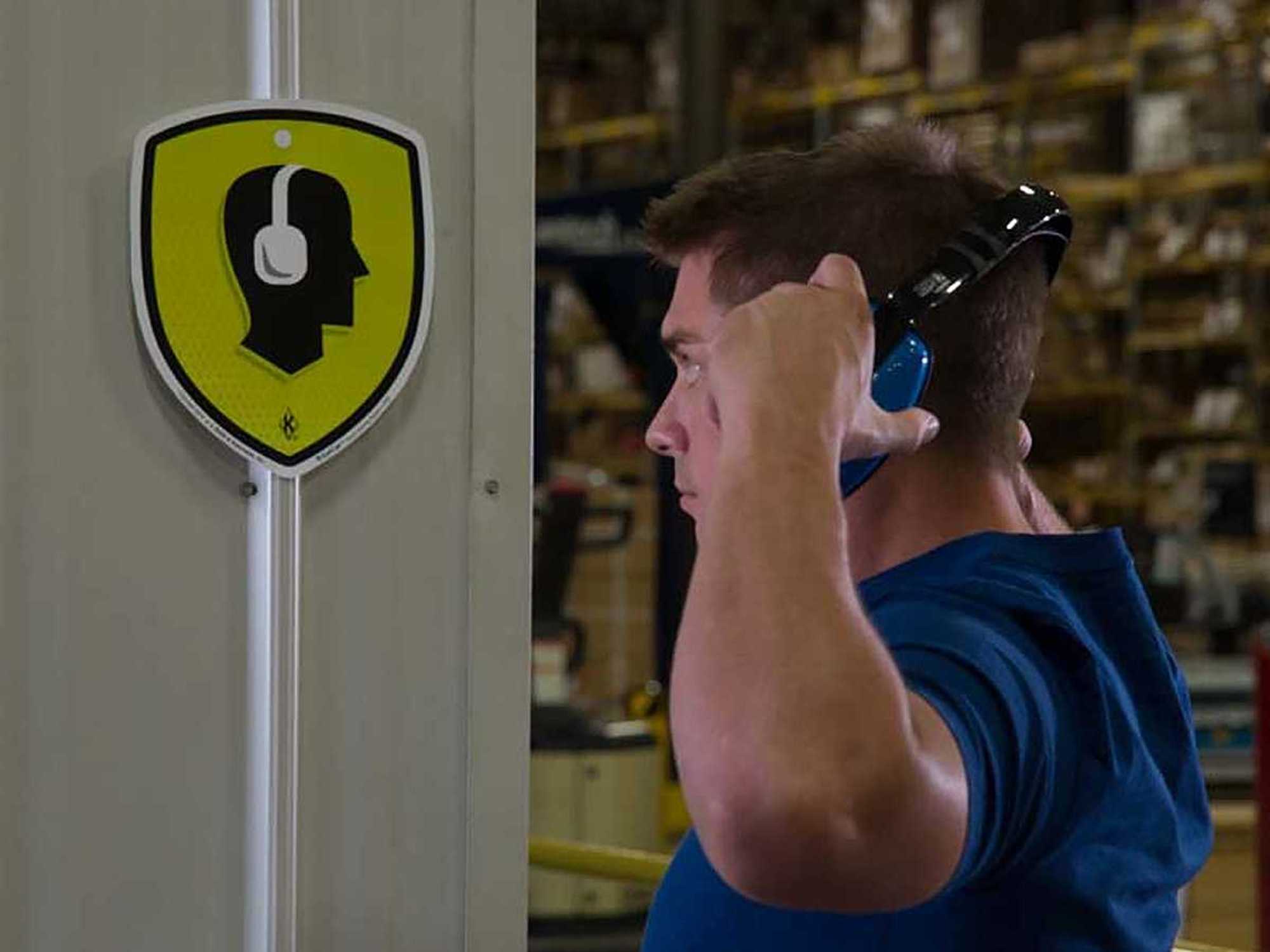 What is the PPE (noise) standard?