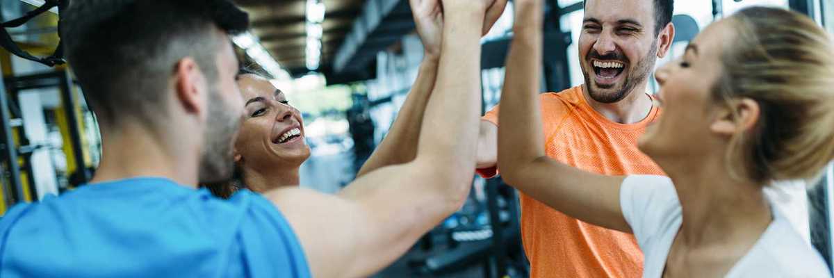 Elevate workplace wellness