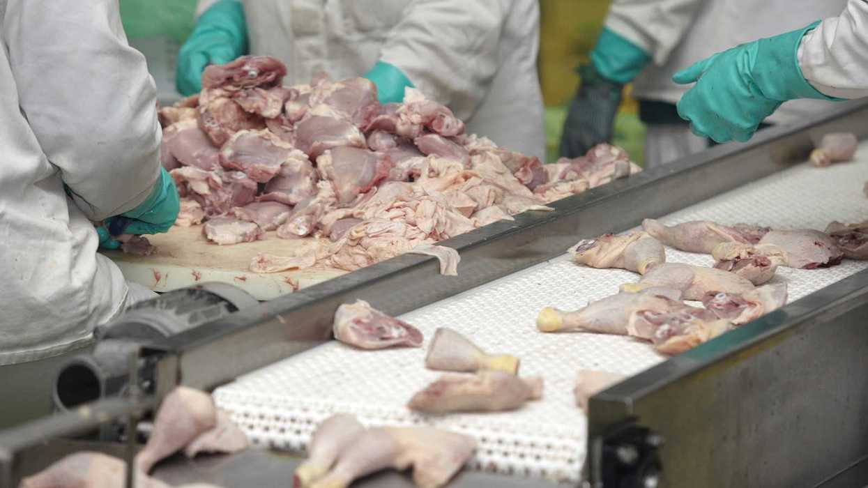 OSHA alert ups ante on amputation hazards at food plants